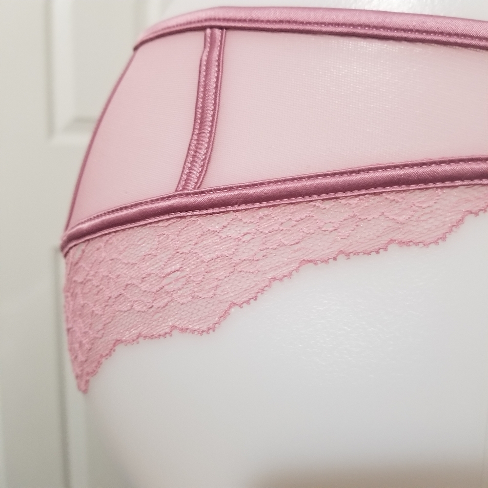 VS Dream Angels Rose Lace & Mesh Cheekini NWT - Picture 5 of 10